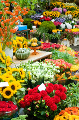 Schnittblumen, Blumenmarkt