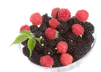 blackberries and strawberies