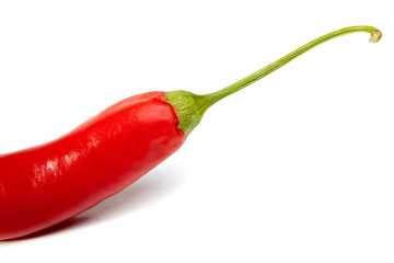 red hot chili pepper
