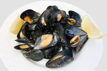 plate with mussels
