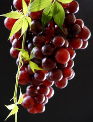 bunch of fresh grapes