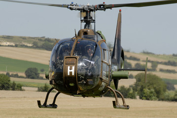 Gazelle