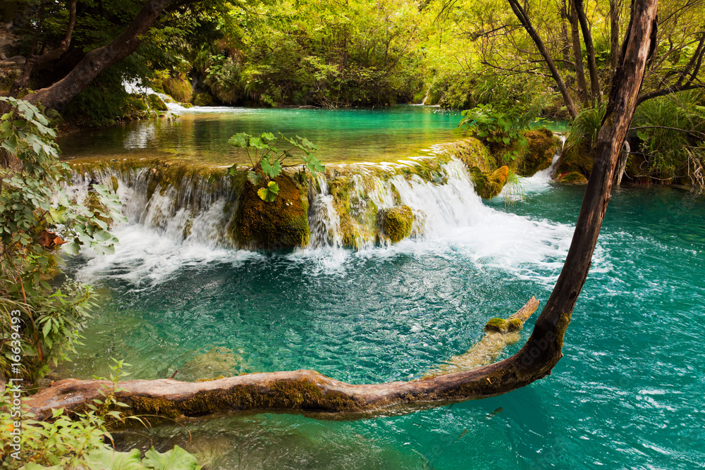 Wall mural plitvice lakes in croatia