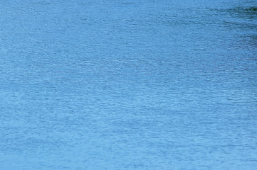 渓流