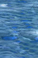 渓流