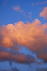 Fototapeta premium 青空と赤い雲