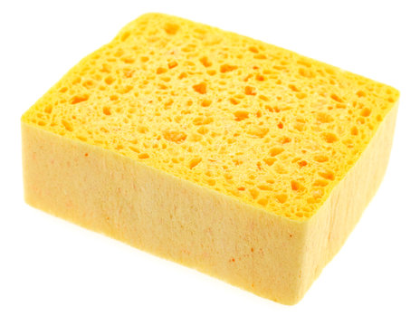 &eacute;ponge