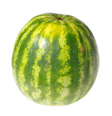 melon. isolated