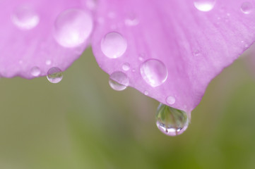 水滴