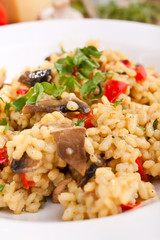 tasty italian mushroom risotto