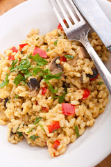 tasty italian mushroom risotto