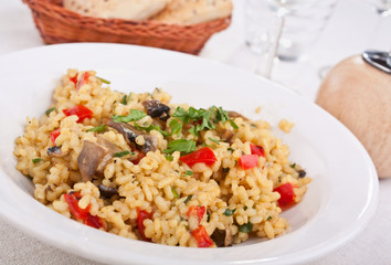 tasty italian mushroom risotto