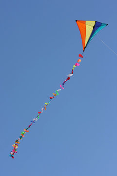 Kite in the sky