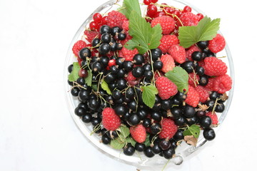 Beeren