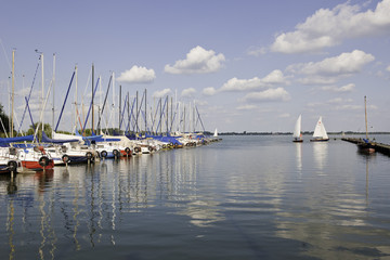 Fototapeta premium Sailboots in a harbor