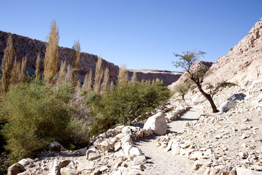 Toconao Village, a Oasis in Atacama desert