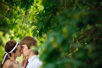 Obraz premium kiss near the tree