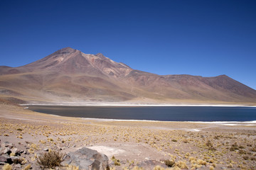 Lagunas Miscanti and Meniques in Atacama desert near Andes.
