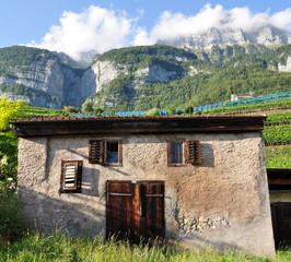 walenstadt...une contrée viticole