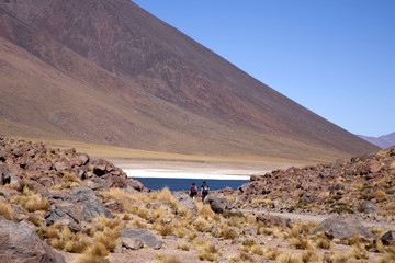 Lagunas Miscanti and Meniques in Atacama desert near Andes.