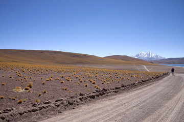 Fototapeta na wymiar Lagunas Miscanti i Meniques pustyni Atacama w pobliżu Andach.