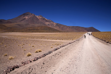 Lagunas Miscanti and Meniques in Atacama desert near Andes.