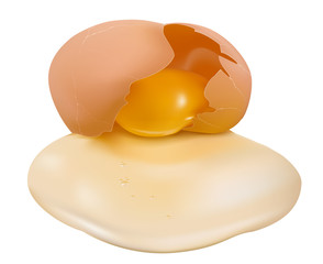 Vector. Broken egg on white background