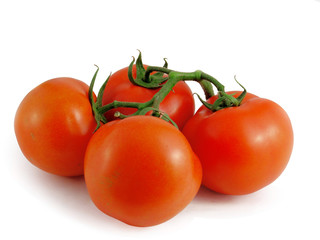 Tomatoes
