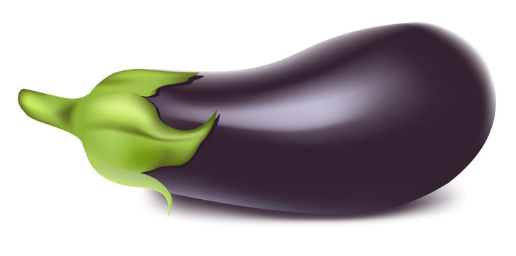 Vector. Aubergine.