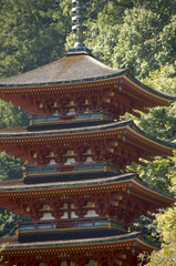Obraz premium 長谷寺、五重塔
