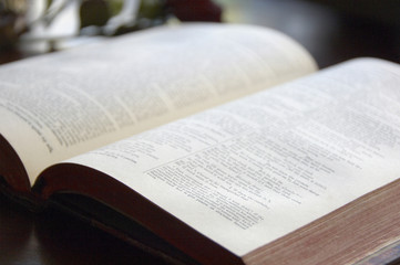 Fototapeta premium 洋書