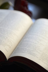 Fototapeta premium 洋書