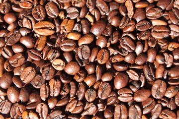 Kaffee Bohnen