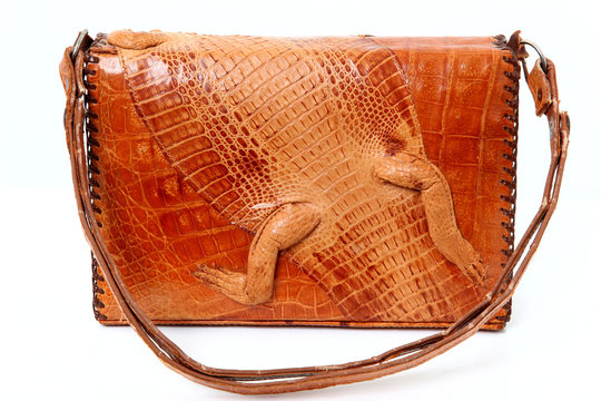 Alligator Purse