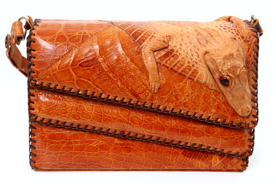 Alligator Purse