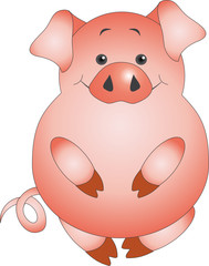 Pig vector