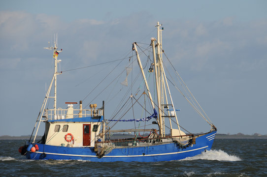 kutter krabbenkutter ostsee nordsee