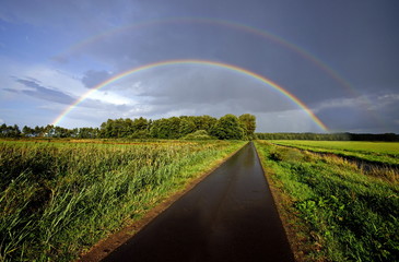 Regenbogen