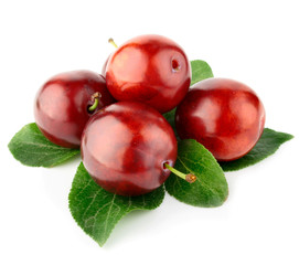 fresh plum fruits with green leaves