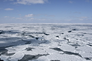 Canadian Arctic