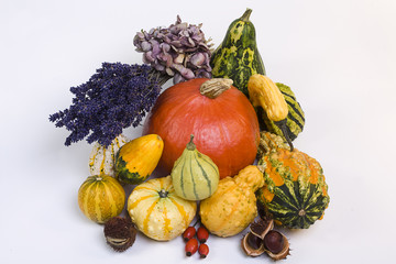 Kürbis Herbststimmung