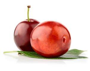 fresh plum fruits with green leaves