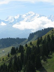 Mont Blanc vallée