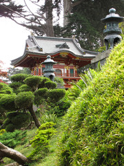 japanese garden in the middle of San Francisco