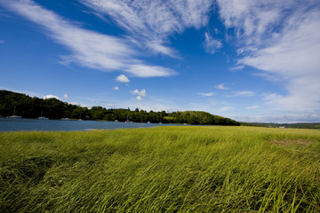 view of the sea with boats
