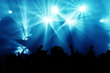 Cheering crowd at concert