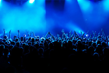 Cheering crowd at concert - obrazy, fototapety, plakaty