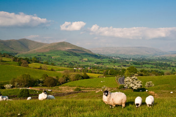 Obraz premium Landscape near Sedbergh