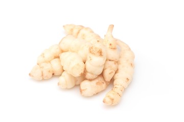 Pile of cultivated cordyceps