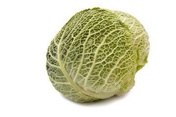 Fototapeta premium Head of savoy cabbage